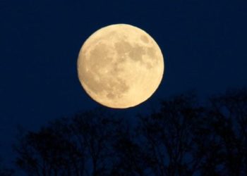“البدر العملاق” يظهر الليلة .. راصد يفصّل الظاهرة الفلكية+ صورة