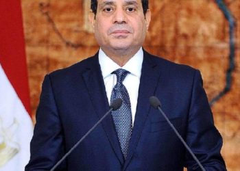 السيسي .. ندعم جهود تطوير التعاون لأزمة الغذاء والطاقة