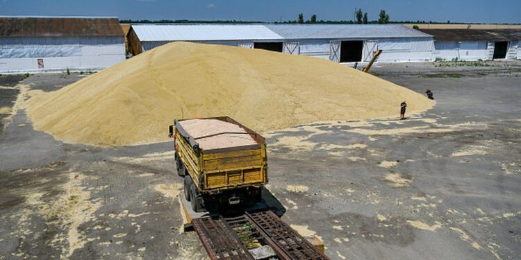 مباحثات “روسية – أوكرانيا” في أنقرة