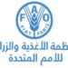 منظمة الفاو .. الحكومة العراقية تمكنت بإجراءاتها سد الفجوة الغذائية