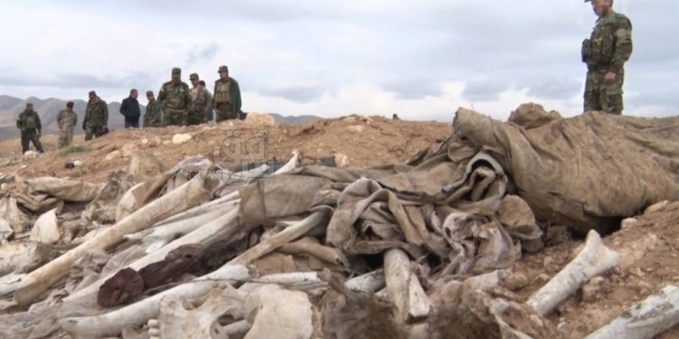 العثور على (6 مقابر جماعية) في سنجـــار تضم عشرات الضحايا الإيزيديين