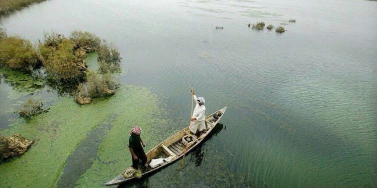 البيئة .. الوضع في الأهوار ليس مقلقاً حتى الآن