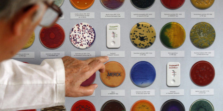 إصابات جديدة بالـ”بكتيريا القولونية” في أميركا