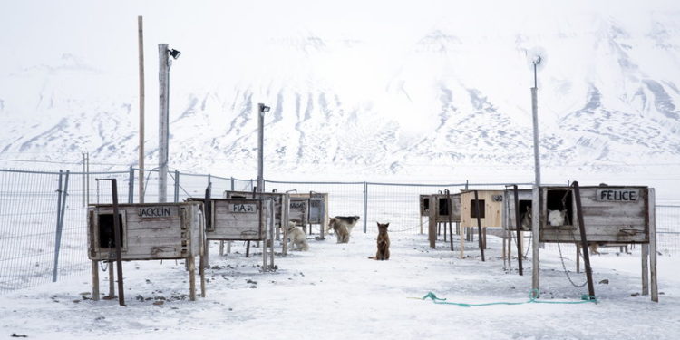 الناتو يحذر من أنشطة بالقطب الشمالي
