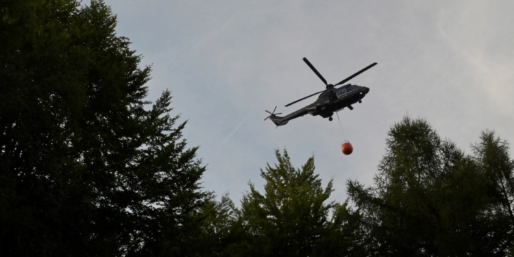 حاول حرق عنكبوت بولاعة فأشعل غـــابة .. شاب أمريكي يتسبب بكارثة ويصدم الشرطة