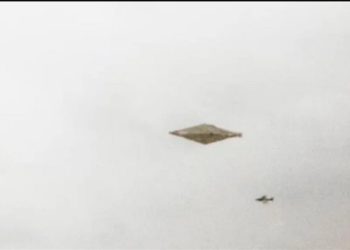 بعد 32 عاما على التقاطها أول صورة واضحة لطبق طائر في بريطانيا