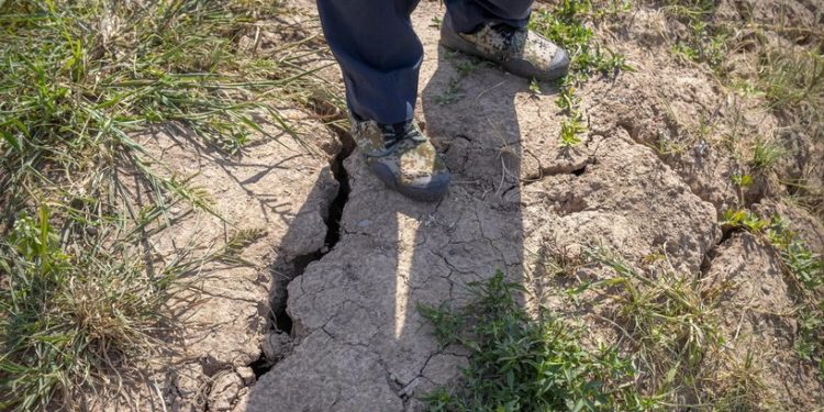 الصيـــن تلجأ إلى الاستمطار لحماية المحاصيل