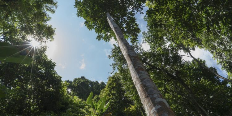 باحثون يكشفون فوائد تقليص أيام العمل على المناخ .. (يقلل استهلاك الطاقة والانبعاثات الحرارية)
