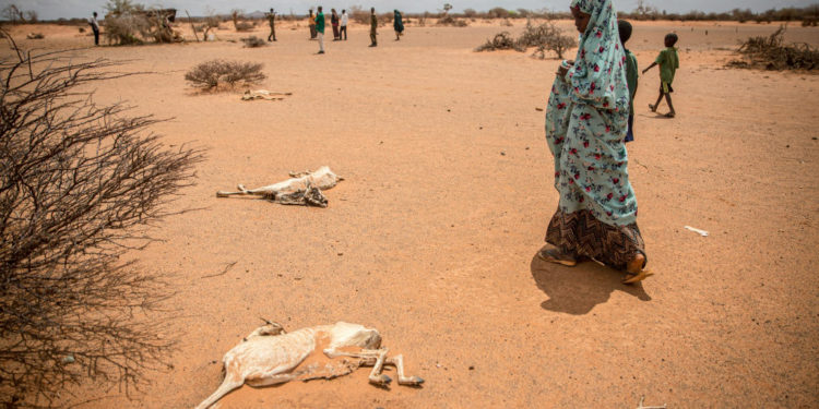 الصومال يدخل رسمياً في مجاعة