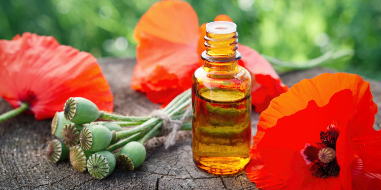 يُستخدم منذ آلاف السنين ويثير الجدل لاستخلاصه من أخطر النباتات المخدرة