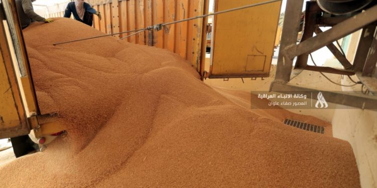 الاعلان عن كميات الحنطة (المستلمة والمسوقة) في محافظتين