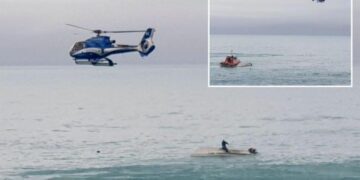 حادث اصطدام حوت بقارب في نيوزيلندا.. يتسبب في مقتل 5 أشخاص