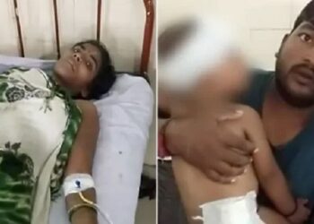 سيدة هندية تقـــاتــــل نمرا لإنقاذ طفلها