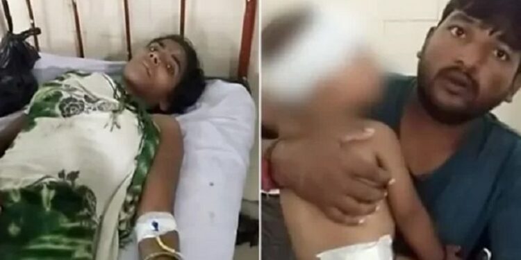 سيدة هندية تقـــاتــــل نمرا لإنقاذ طفلها