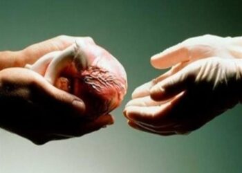 حسم الجدل حول التبرع بالأعضاء بعد الوفاة