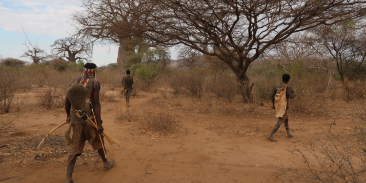 أقدم قبائل إفريقيا “شعب هادزا” ,, يأكلون القرود ونظامهم الغذائي يحميهم من المرض