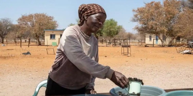 بريطانيا تــــــروج لـ(تربية الحشرات) الصالحة للأكل !