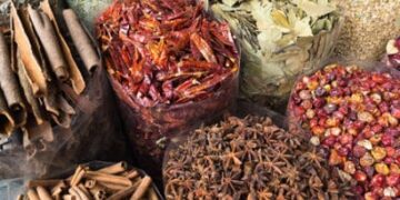 هل ما زال التــداوي بالأعشاب “طبا بديلا” .. ؟ العلاج الشعبي