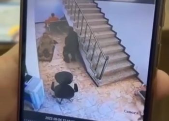 بالفيديو عملية قتل المتهم من قبل المنتسب في الحشد الشعبي داخل “محكمة” في نينوى