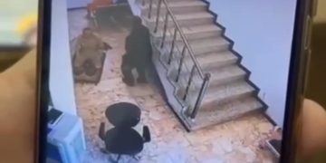بالفيديو عملية قتل المتهم من قبل المنتسب في الحشد الشعبي داخل “محكمة” في نينوى