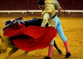 بدأت في بلاد الرافدين ولا يُستخدم اللون الأحمر  ,,, ما لا تعرفه عن مصارعة الثيران