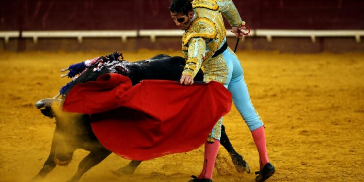 بدأت في بلاد الرافدين ولا يُستخدم اللون الأحمر  ,,, ما لا تعرفه عن مصارعة الثيران