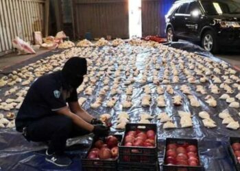 إحباط عملية كبيرة لتهريـــــب المخدرات من لبنان إلى دولة خليجية عبر السودان
