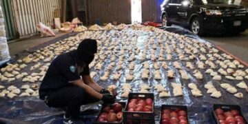 إحباط عملية كبيرة لتهريـــــب المخدرات من لبنان إلى دولة خليجية عبر السودان