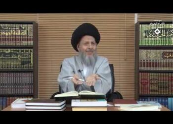 المرجع الحيدري يكشف موقف المصادر الشيعية + فيديو