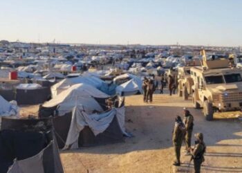 أوروبا تستعد لفصل الشتاء بمواقد الفحم والأخشاب … “الحطب هو الذهب الجديد”