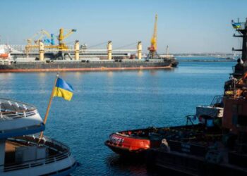 13 سفينة جديدة محملة بالمنتجات الزراعية تغادر أوكرانيا