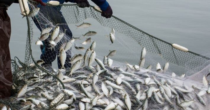 غرامة 10 ملايين دينار بحق مرتكبي الصيد الجائر