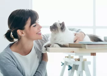 القطط تــــعرف أن صاحبها يتكلم معها من نبرة الصوت