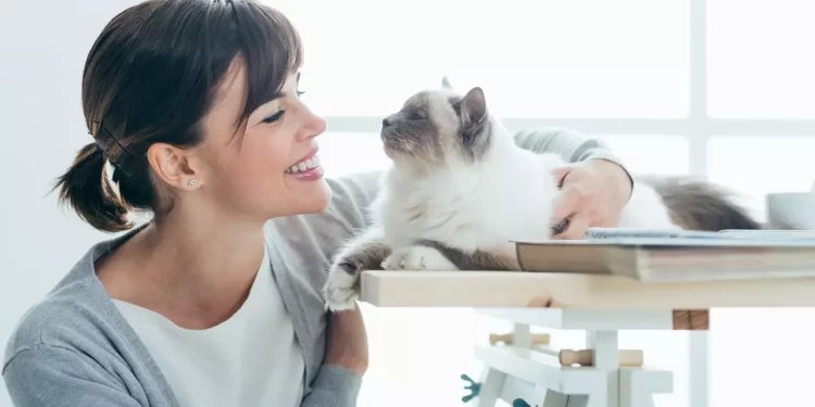 القطط تــــعرف أن صاحبها يتكلم معها من نبرة الصوت