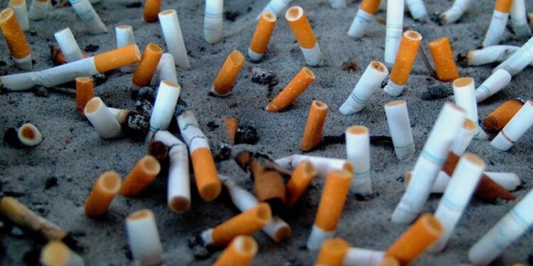  مصنع يحول أعقاب السجائر إلى حشو للدمى