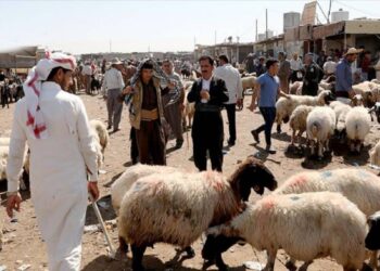 العثور على جثة تاجر مواشي بعد يومين من خطفه