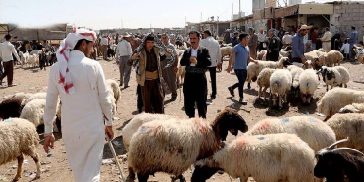 العثور على جثة تاجر مواشي بعد يومين من خطفه