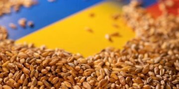 الاتحاد الأوروبي يدعو موسكو على العودة لاتفاق صادرات الحبوب الأوكرانية