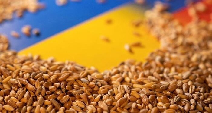 الاتحاد الأوروبي يدعو موسكو على العودة لاتفاق صادرات الحبوب الأوكرانية