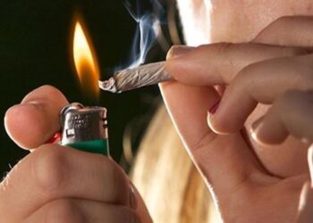 ألمانيا تتجه لتقنين الاستخدام الترفيهي للحشيش مع السماح بحيازته وبيعه .. (الكيـــف المسموح)