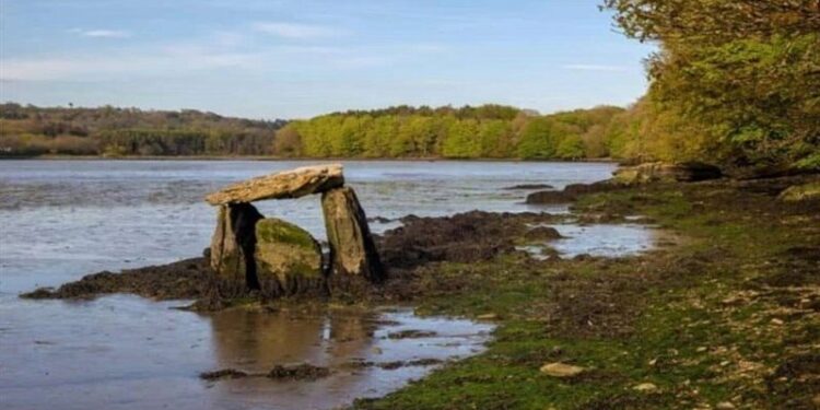 اكتشـــاف مقبرة تعود إلى ما قبل التاريخ بأيرلندا