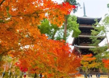 132 ألف جنيه سعر الإقامة “ليلة واحدة” في معبد ياباني