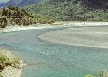 نيوزيلندا تعلن عن وظيفة براتب خيالي لـــم تجد من يشغلها فلجأت للبحث في الخارج