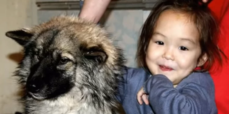 فتاة أنقذها كلبها من الموت عمرها 3 سنوات وتمكنت من البقاء حية في غابات سيبيريا