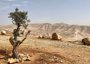 أقــدم مدن العـــالــم