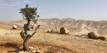 أقــدم مدن العـــالــم