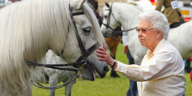 الملك تشارلز يعتزم بيع 12 حصان سباق ورثها من والدته