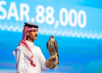 بيع فرخ شاهين بمبلغ 23 ألف $ في السعودية