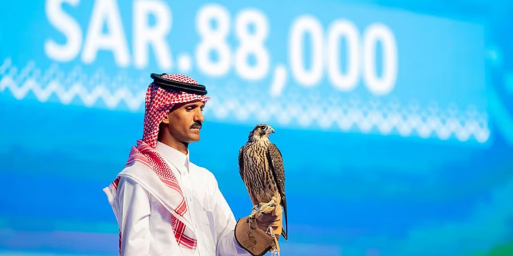 بيع فرخ شاهين بمبلغ 23 ألف $ في السعودية