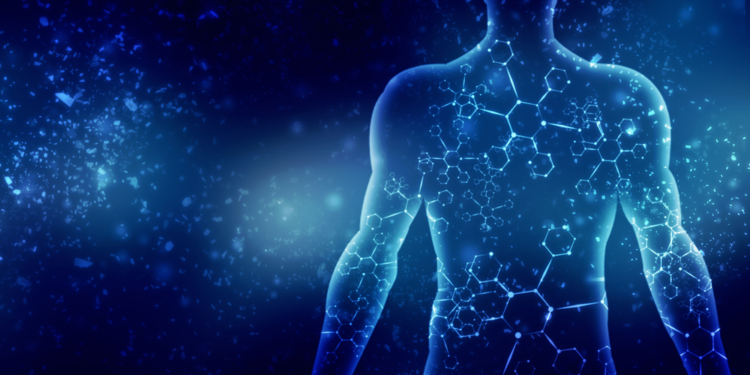 كيف تجدد أجسامنا نفسها كل بضعة سنوات .. ؟